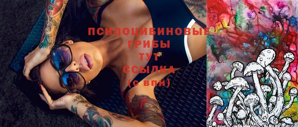 ГАЛЛЮЦИНОГЕННЫЕ ГРИБЫ Армянск