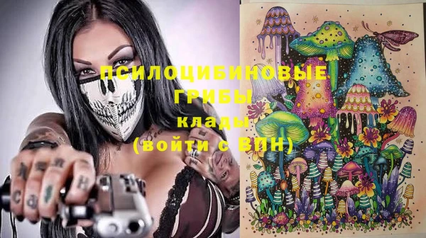 ГАЛЛЮЦИНОГЕННЫЕ ГРИБЫ Армянск