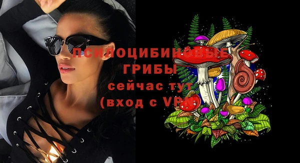 ГАЛЛЮЦИНОГЕННЫЕ ГРИБЫ Армянск