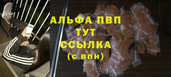 PSILOCYBIN Аркадак